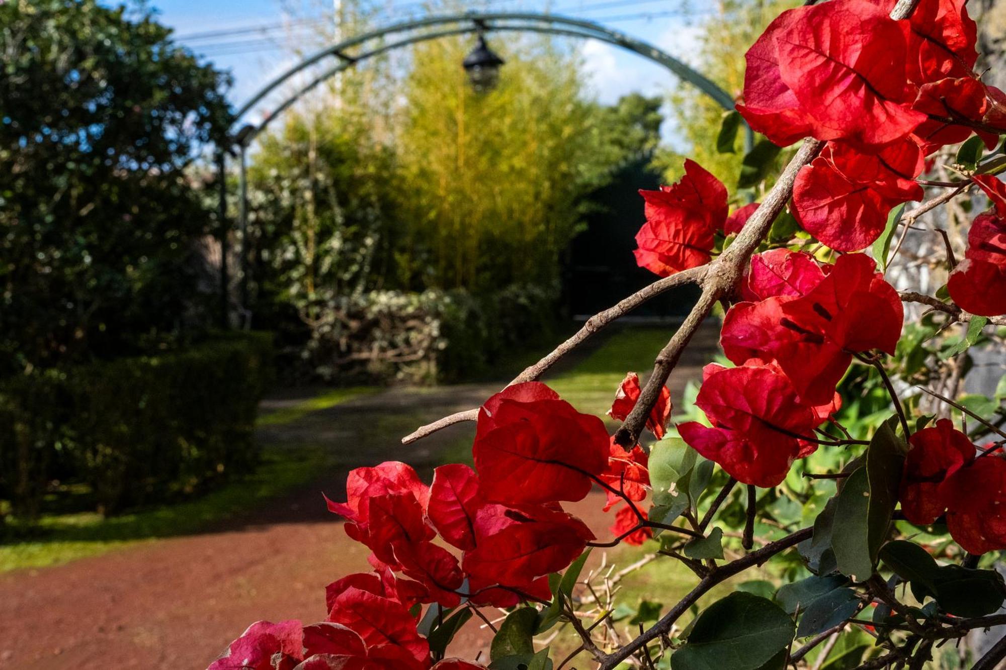Casa Villa Garden Ponta Delgada Kültér fotó